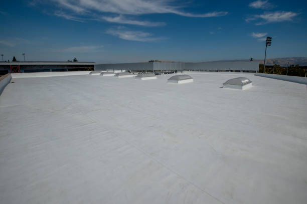 Best Cold Roofs  in Watertown, MN